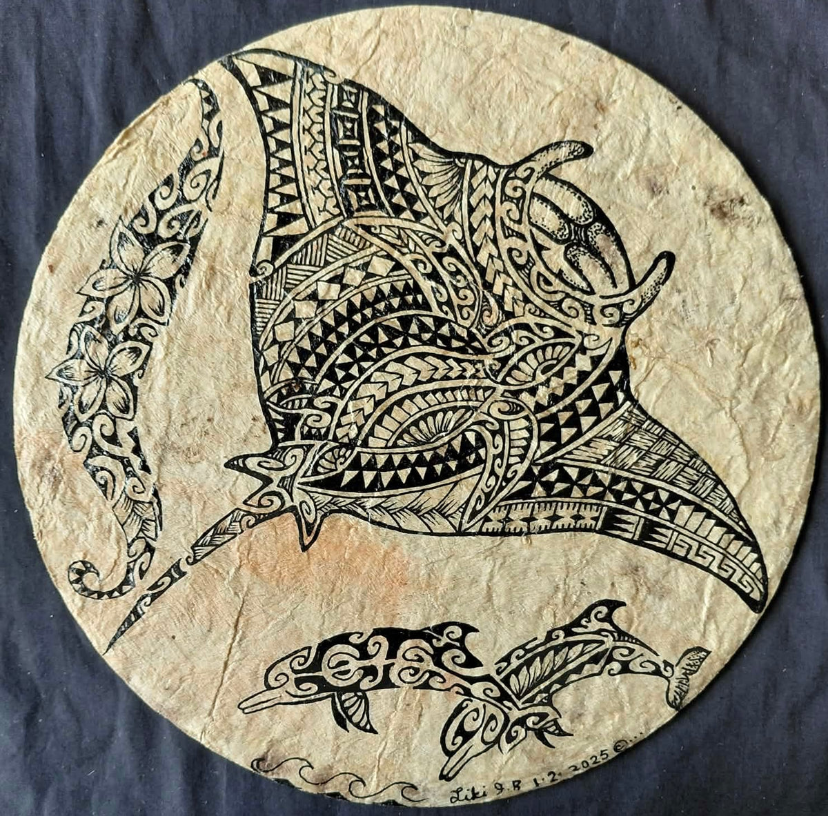 Circle Manta & Dolphins